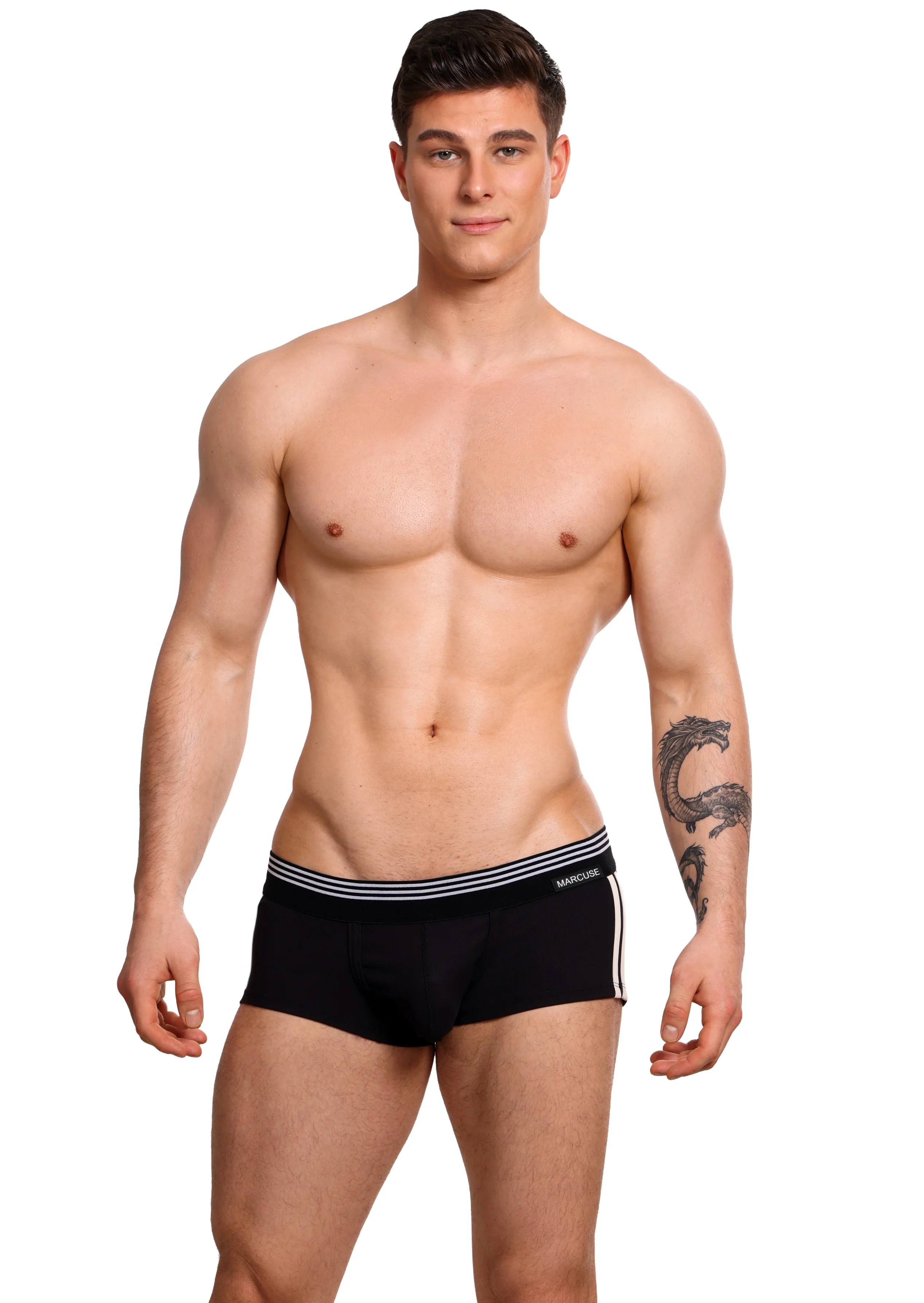 Huxley boxer - Image 3