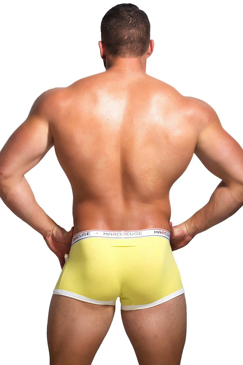 United Boxer - Image 20